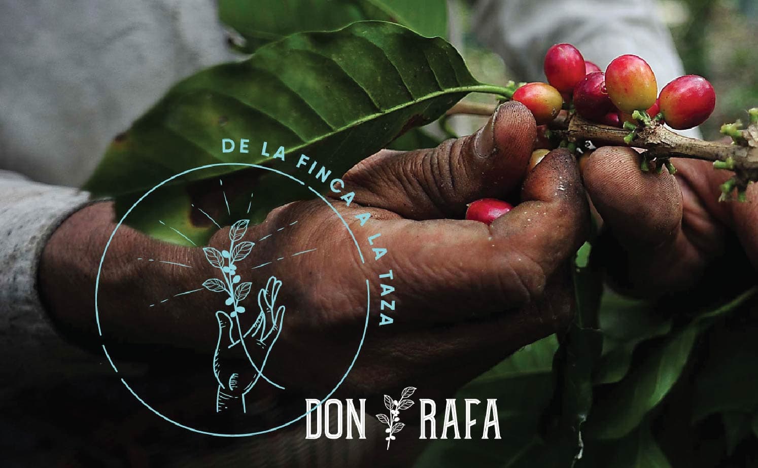 mostacho-agency-don-rafa-15
